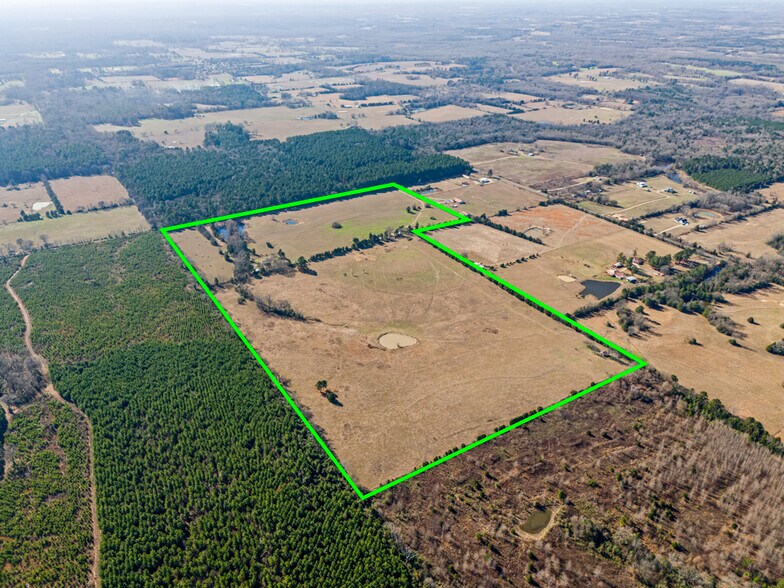 More Photos Of 255 County Road 4645, Winnsboro Land For Sale