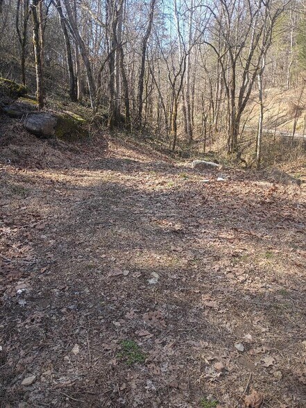 More Photos Of 940 Riley Creek Rd, Whitleyville Land For Sale