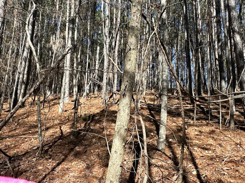 More Photos Of 3472 Prior Station Rd, Cedartown Land For Sale