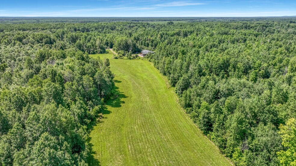 More Photos Of W3828 Walrath Rd, Glen Flora Land For Sale
