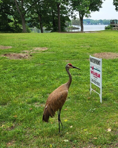 Primary Photo Of 00 Blain Island Dr, Waterford Land For Sale