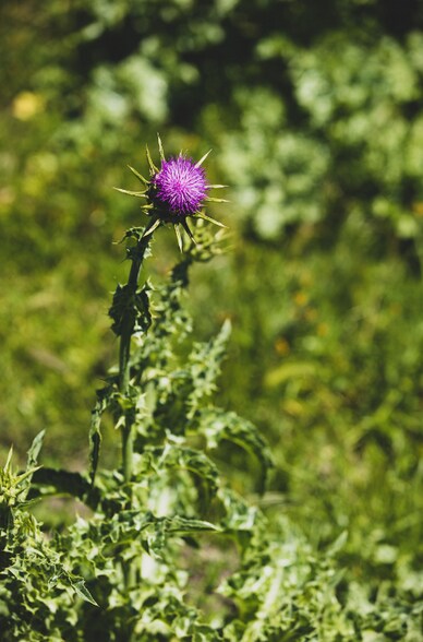 More Photos Of Price Canyon Rd, San Luis Obispo Land For Sale