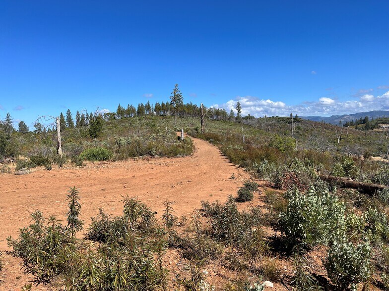 More Photos Of 7559 Alamo Rd, Mountain Ranch Land For Sale