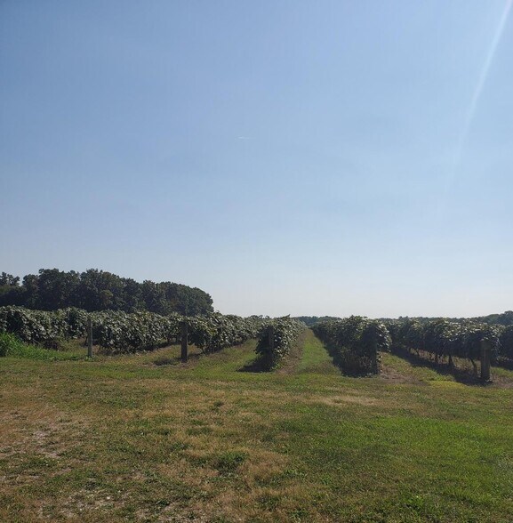 More Photos Of , Paw Paw Winery Vineyard For Sale