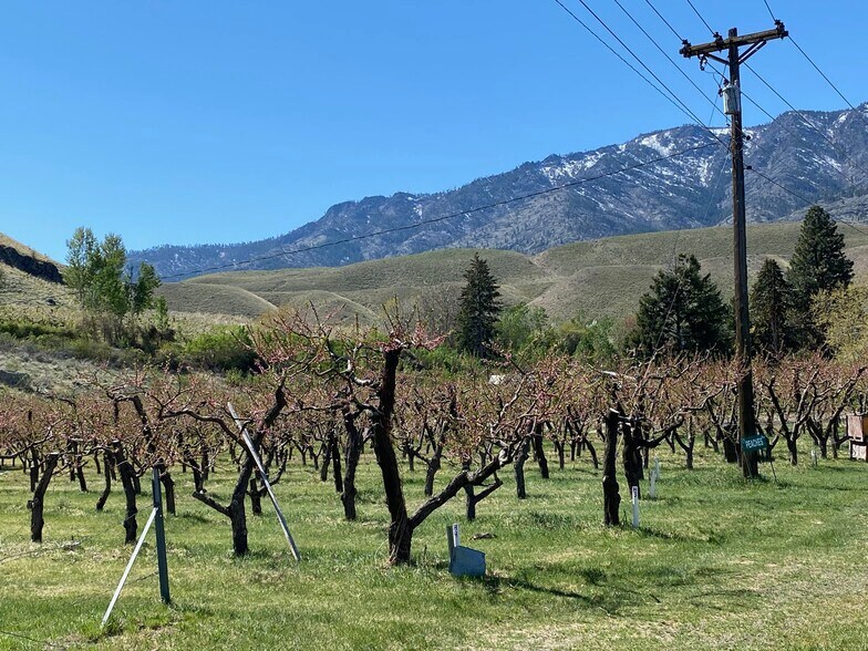 More Photos Of 53 WA-153, Pateros Land For Sale