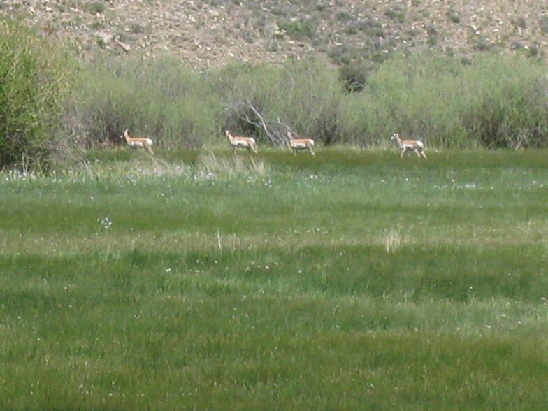 More Photos Of Vacant Highway 285, Villa Grove Land For Sale