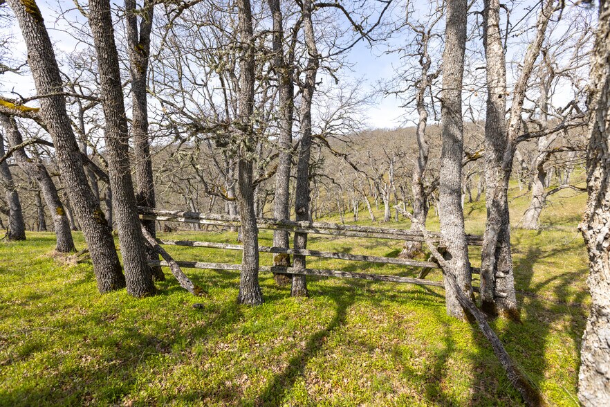 More Photos Of 60 Hartwig Road, Lyle Land For Sale