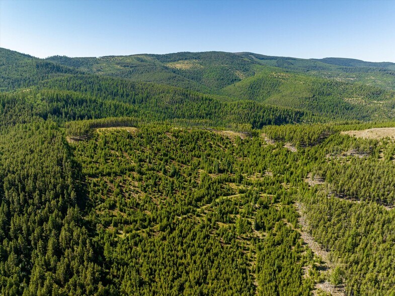 More Photos Of Nhn Logan Creek Road, Kila Land For Sale