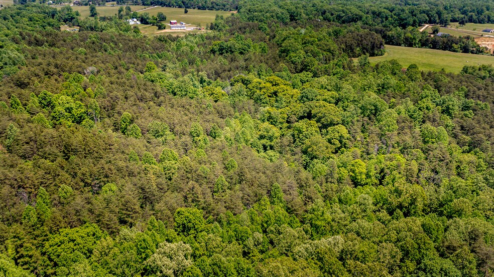 More Photos Of 1245 Carpenters Mill Rd, Ruckersville Land For Sale