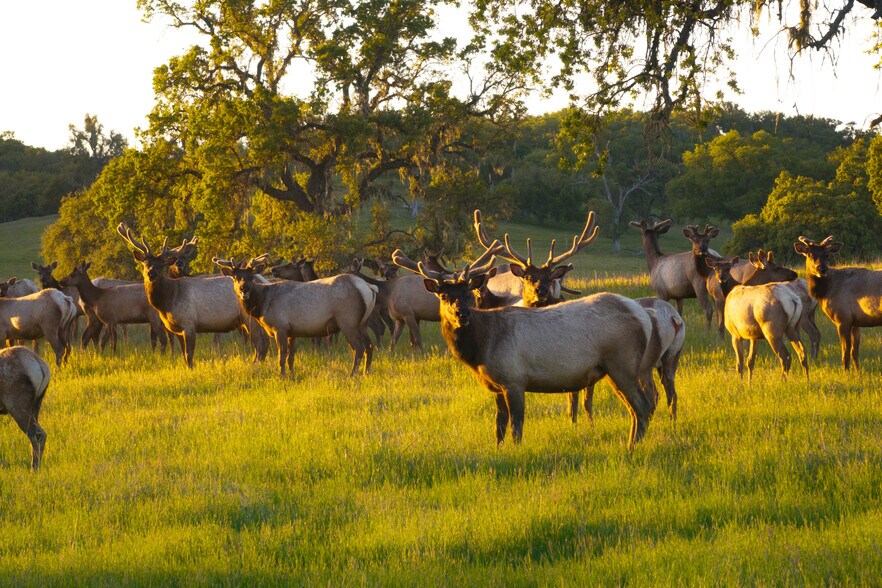 More Photos Of 76525 Interlake Rd, Bradley Land For Sale