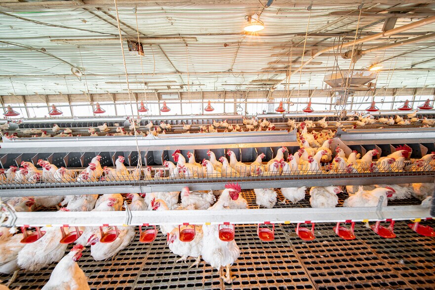 More Photos Of 1291 Myron Hart Rd, Coolidge Land For Sale