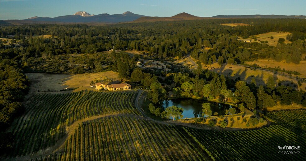 More Photos Of 31630 Forwards Rd, Manton Land For Sale