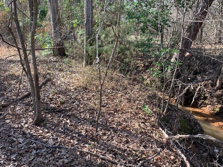 More Photos Of Interstate 20, Lindale Land For Sale