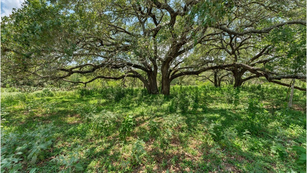 More Photos Of 209 FM 1344, Floresville Land For Sale
