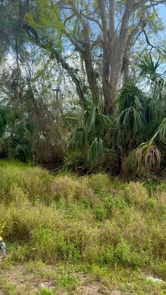 More Photos Of 9905 Progress Blvd, Riverview Land For Sale