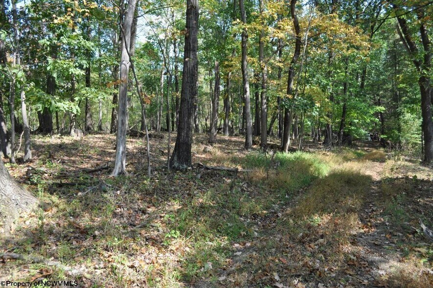 More Photos Of 3039 Earl L Core Rd, Morgantown Land For Sale