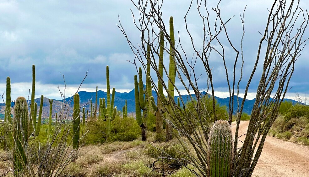 More Photos Of 7XXX Highland Road Rd, Cave Creek Land For Sale