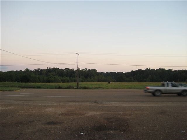 Primary Photo Of 000F Highway 61 N, Natchez Land For Sale
