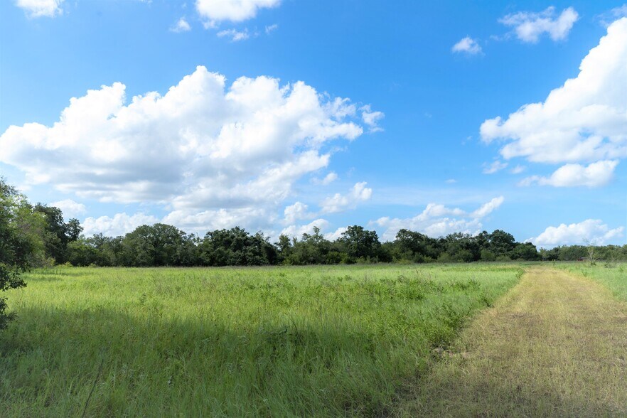 More Photos Of S Hwy 183, Lockhart Land For Sale