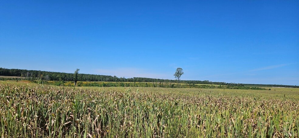 Primary Photo Of Glenmore Road, Scottsville Land For Sale