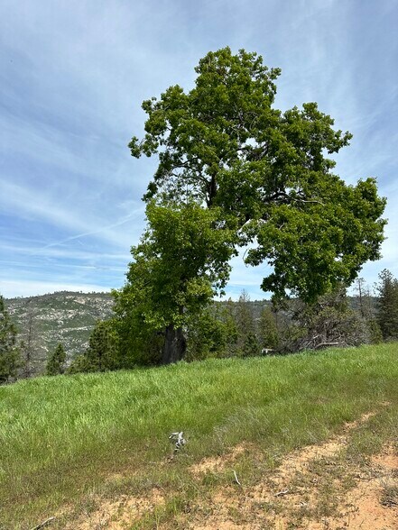 More Photos Of Hawk Haven Lane, Somerset Land For Sale