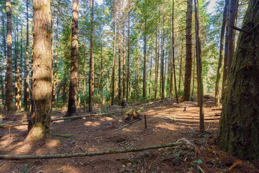 More Photos Of 0 Newmark ave, North Bend Land For Sale