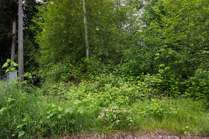 More Photos Of 10th Avenue @ Liberty, Poulsbo Land For Sale