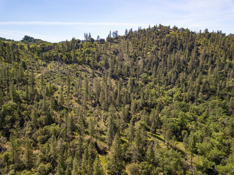 More Photos Of 0000 Upton Rd, Somerset Land For Sale