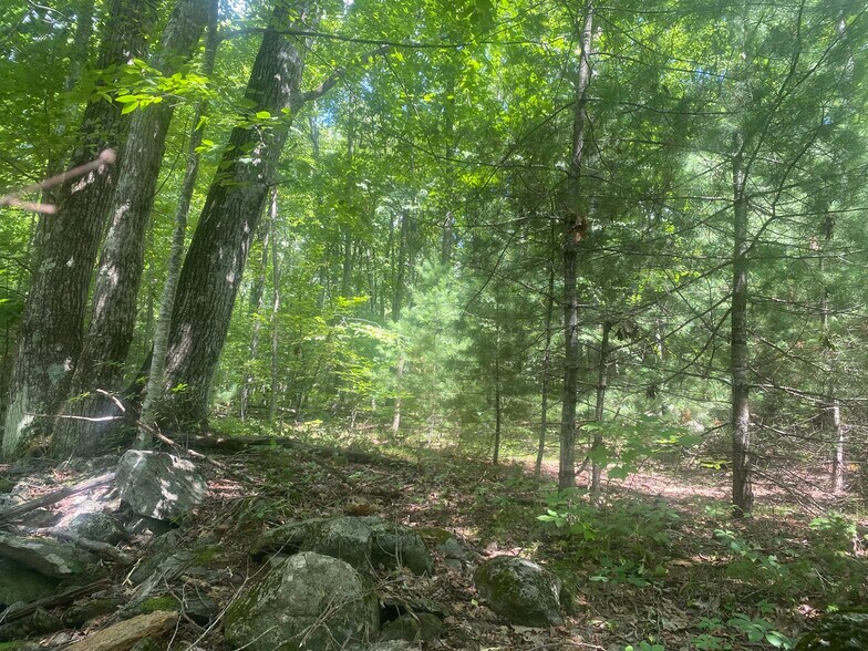 More Photos Of Thresher Rd, Hardwick Land For Sale