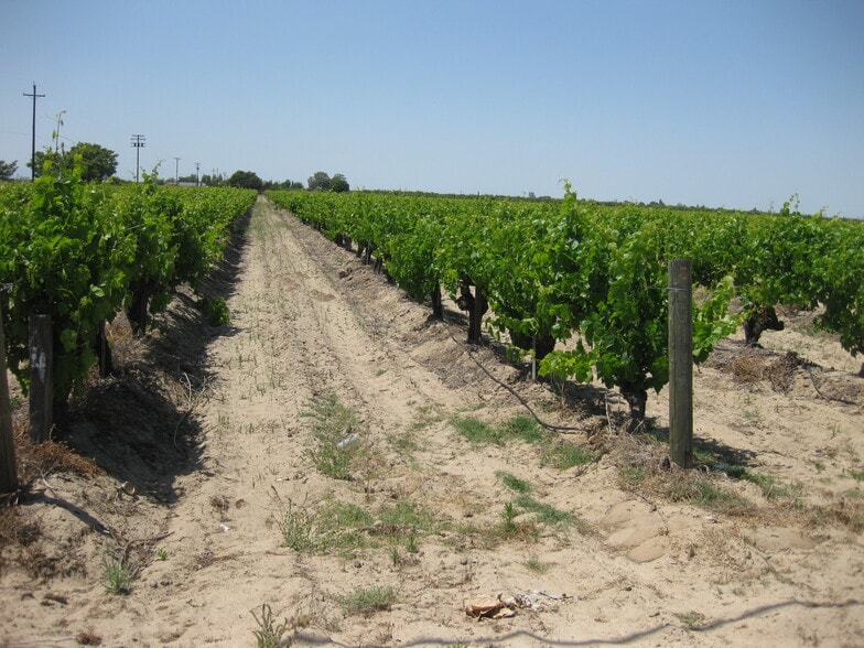 Primary Photo Of 2738 E Rose Ave, Fresno Land For Sale