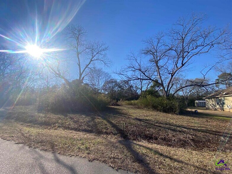 Horse Whisperer Limestone road, Cochran, GA 31014 Land For Sale