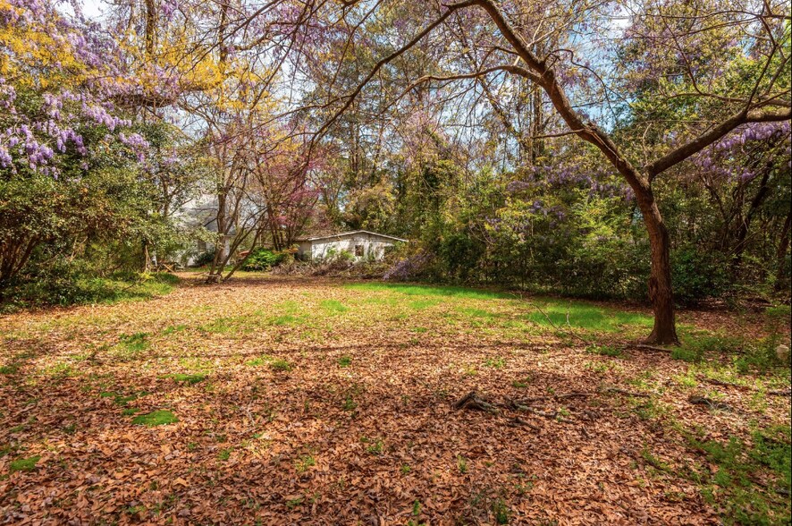 More Photos Of 3550-3590 GA-42 Hwy, Locust Grove Land For Sale