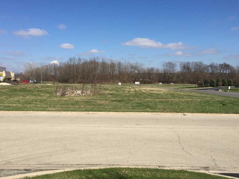 More Photos Of Ferro Ct, New Lenox Land For Sale
