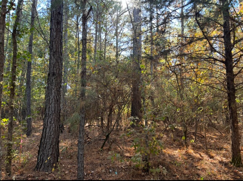 More Photos Of TBD County Road 4122 and Texas 43 hwy, Atlanta Land For Sale
