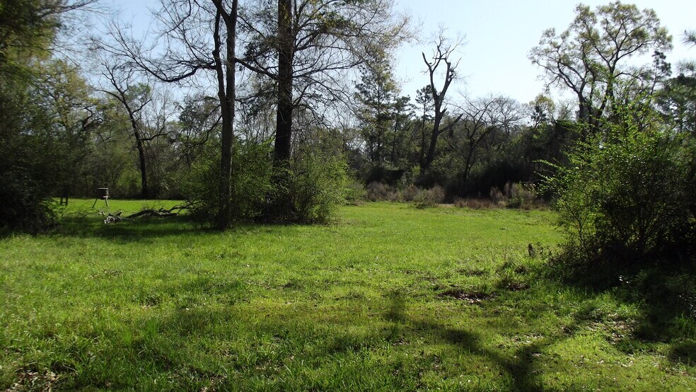 More Photos Of 24030 Hegar Rd, Hockley Land For Sale