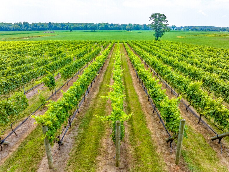 More Photos Of 27058 Mount Pleasant Rd, Columbus Winery Vineyard For Sale