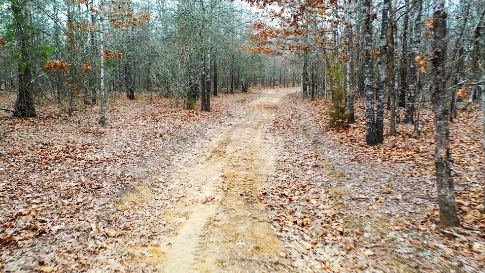 More Photos Of 1200 County 1255 rd, Detroit Land For Sale