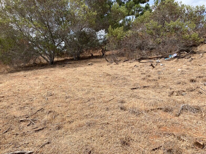 More Photos Of 0 Calle Los Arboles, Spring Valley Land For Sale