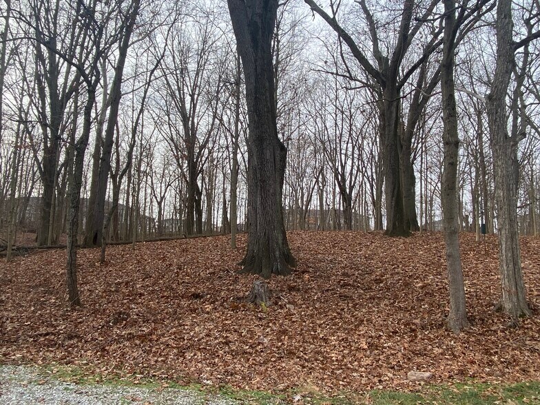 More Photos Of 1365 W Stones Crossing Rd, Greenwood Land For Sale