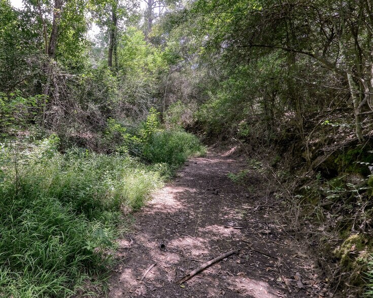 More Photos Of 2160 Bowler Rd, Waller Land For Sale