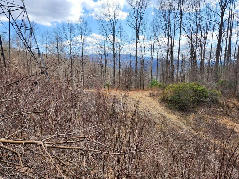 More Photos Of 00 Camp Branch Rd, Topton Land For Sale