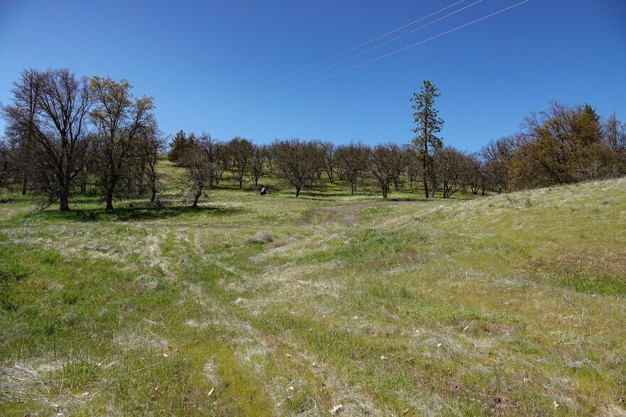 More Photos Of 13317 McAdams Creek Rd, Fort Jones Land For Sale