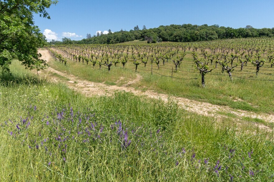 More Photos Of 5887 Cross Keys Rd, Mount Crawford Winery Vineyard For Sale