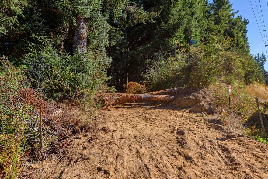 More Photos Of 0 Newmark ave, North Bend Land For Sale