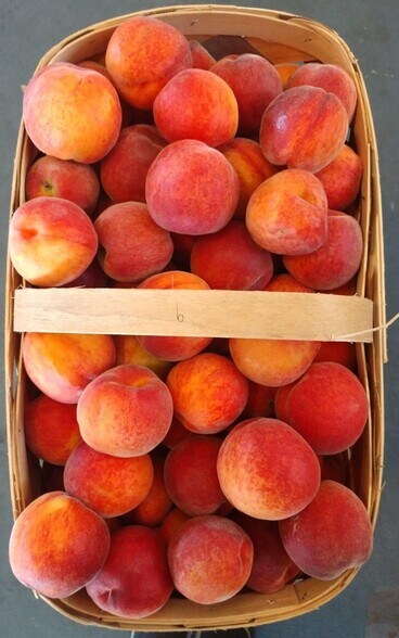 More Photos Of 1327 S Bay St, Eustis Freestanding For Lease