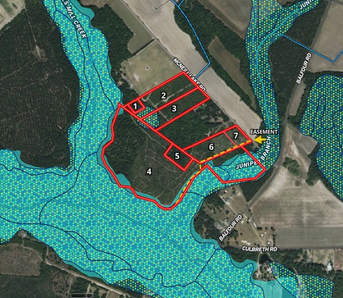 More Photos Of McNeill Lake Rd, Lumber Bridge Land For Sale