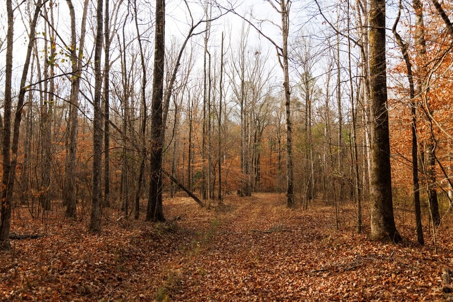 More Photos Of Jug Factory Road, Wetumpka Land For Sale