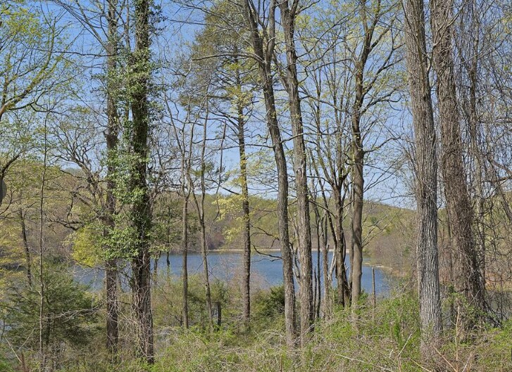 Primary Photo Of 6 Wampus Lake Dr, Armonk Land For Sale