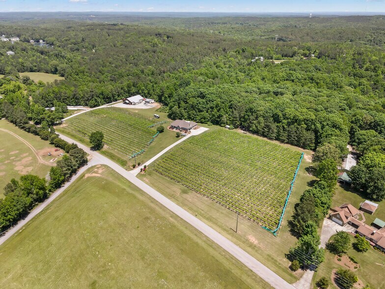 More Photos Of 665 N Hulett Rd, Villa Rica Winery Vineyard For Sale