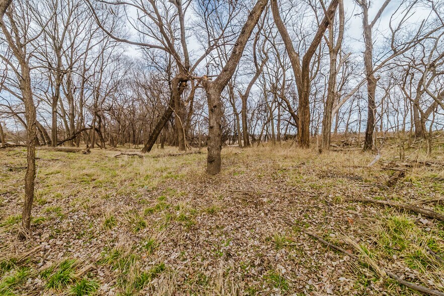 More Photos Of 79+/- Acres on 272nd Rd. Rd @ 41st Rd, Arkansas City Land For Sale